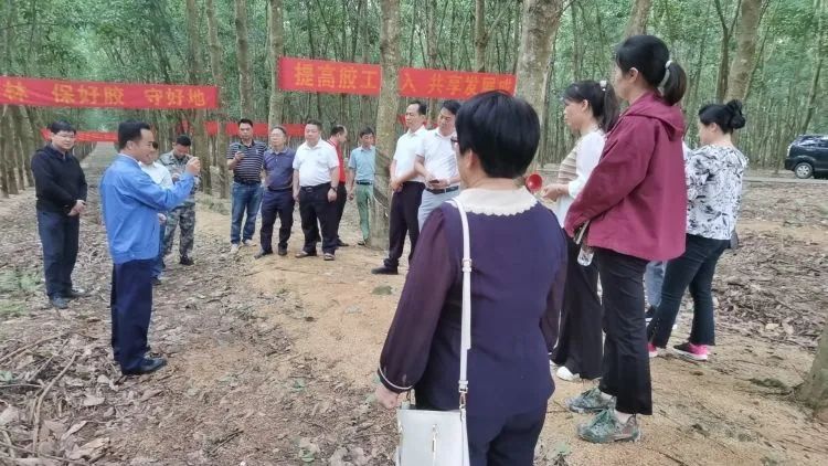 全國割膠冠軍張健給各單位學(xué)員做標(biāo)準(zhǔn)化膠園建設(shè)及割膠技術(shù)的經(jīng)驗介紹。.jpg